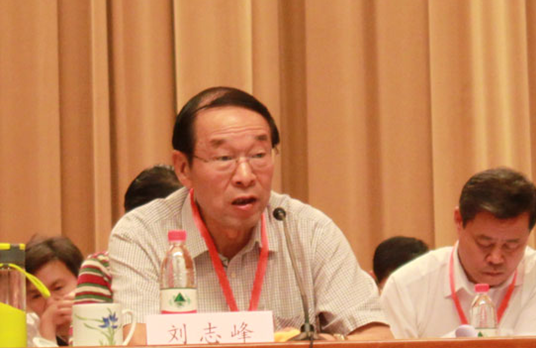 6969中国房地产业协会会长刘志峰6969中国房地产业协会副会长